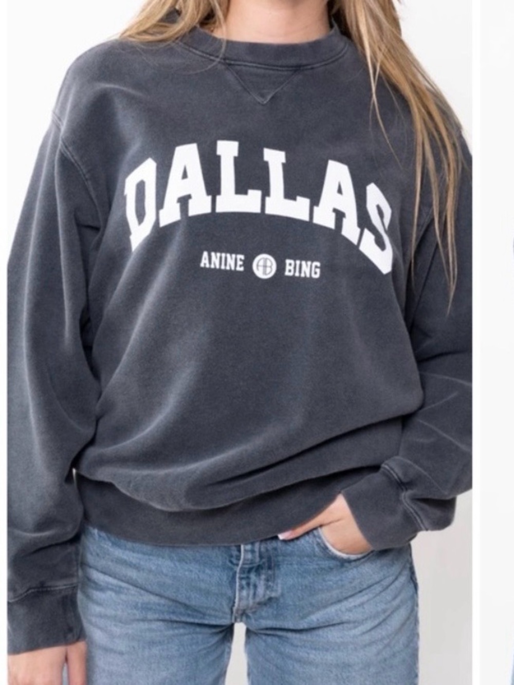Anine Bing Ramona Dallas sweatshirt size small grey washed black rare